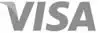 Visa Card