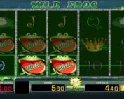 Wild-Frog-Spielautomat