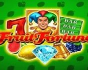Fruit Fortune Slot