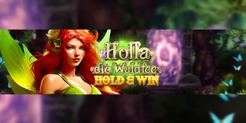 Holla die Waldfee -Hold and Win