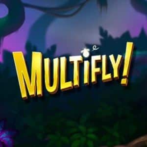 Multifly Yggdrasil Casino
