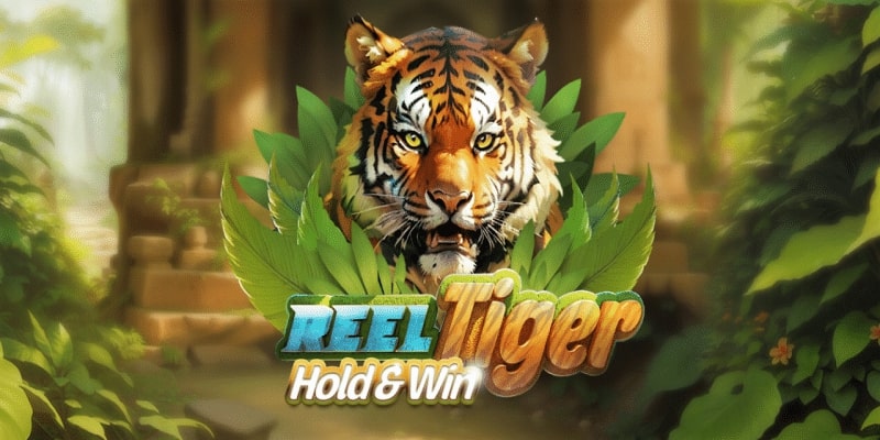 Reel Tiger Spielautomat 800