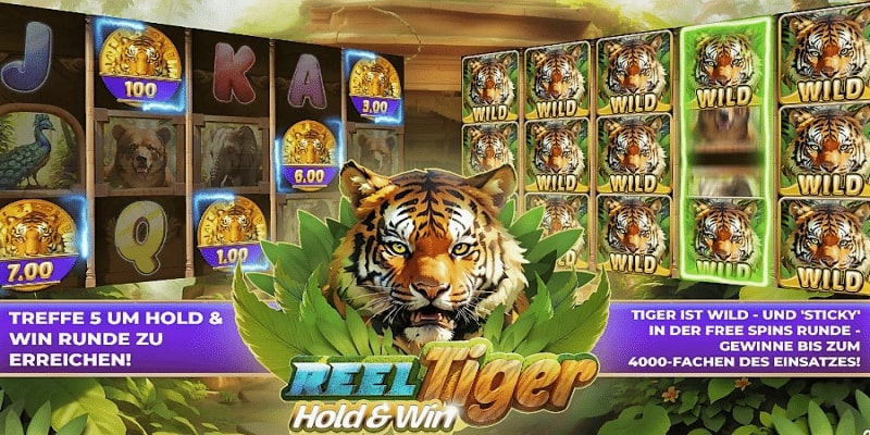 Wilds und mehr bei Reel Tiger