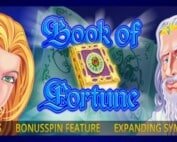 Book of Fortune Spielautomat 1280
