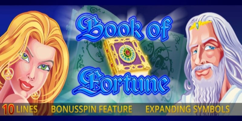 Book of Fortune Spielautomat 800