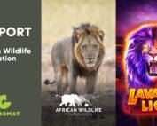 gamomat gaming for the climate lava lions