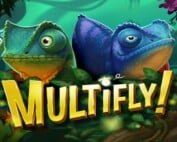 Multifly Spielautomat