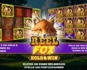Reel Fox Hölle Games