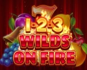 1-2-3 Wilds on Fire Spielautomat