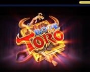 Book of Toro