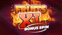 Fruits XL Bonus Spin Risikoleiter