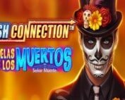 Cash Connection Candelas de Los Muertos Señor Muerte Test