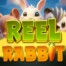 Reel Rabbit