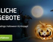 lapalingo halloween kuerbisjagd um freispiele und cash