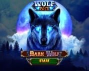Dark Wolf