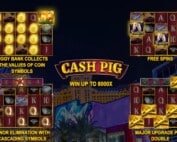 Cash Pig