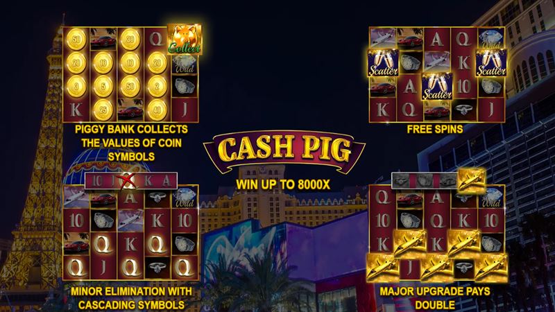 Cash Pig