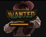 Wanted Dead or a Wild Test