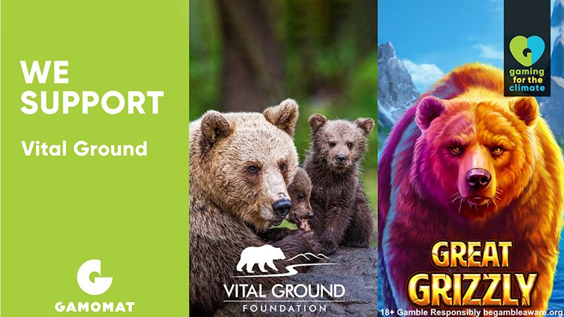 GAMAOMAT und The Vital Ground Foundation sind Partner