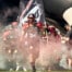 merkur bowl 2025 geht an die duesseldorf panther