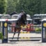balve optimum 2025 merkur spielbanken offizieller partner 1280