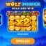 Wolf Power Hold and Win Test