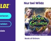 exklusives debuet von hoelle games slot book of grimm im wildz casino deutschland