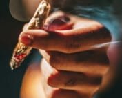 vom cannabis gesetz lernen gluecksspielregulierung in deutschland neu denken