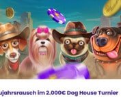 wildz casino dog house slots turnier um 2000 euro neujahr mit biss