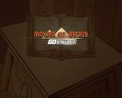 playn go kultspiel kehrt mit neuem collect feature zurueck