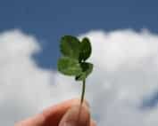 warum glueck und lebenszufriedenheit in deutschland keine glueckssache sind