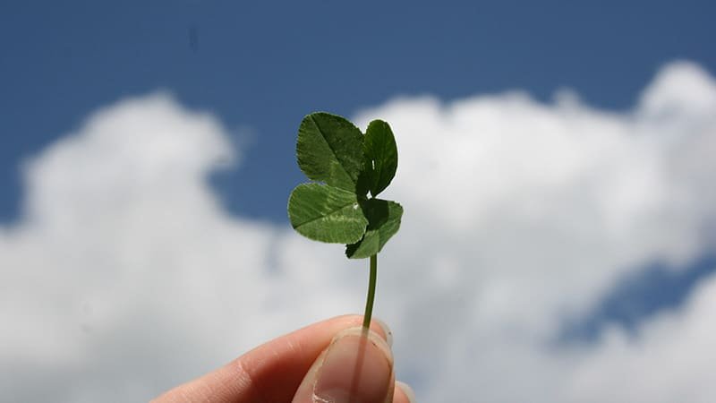 Warum Gl&uuml;ck und Lebenszufriedenheit in Deutschland keine Gl&uuml;ckssache sind!